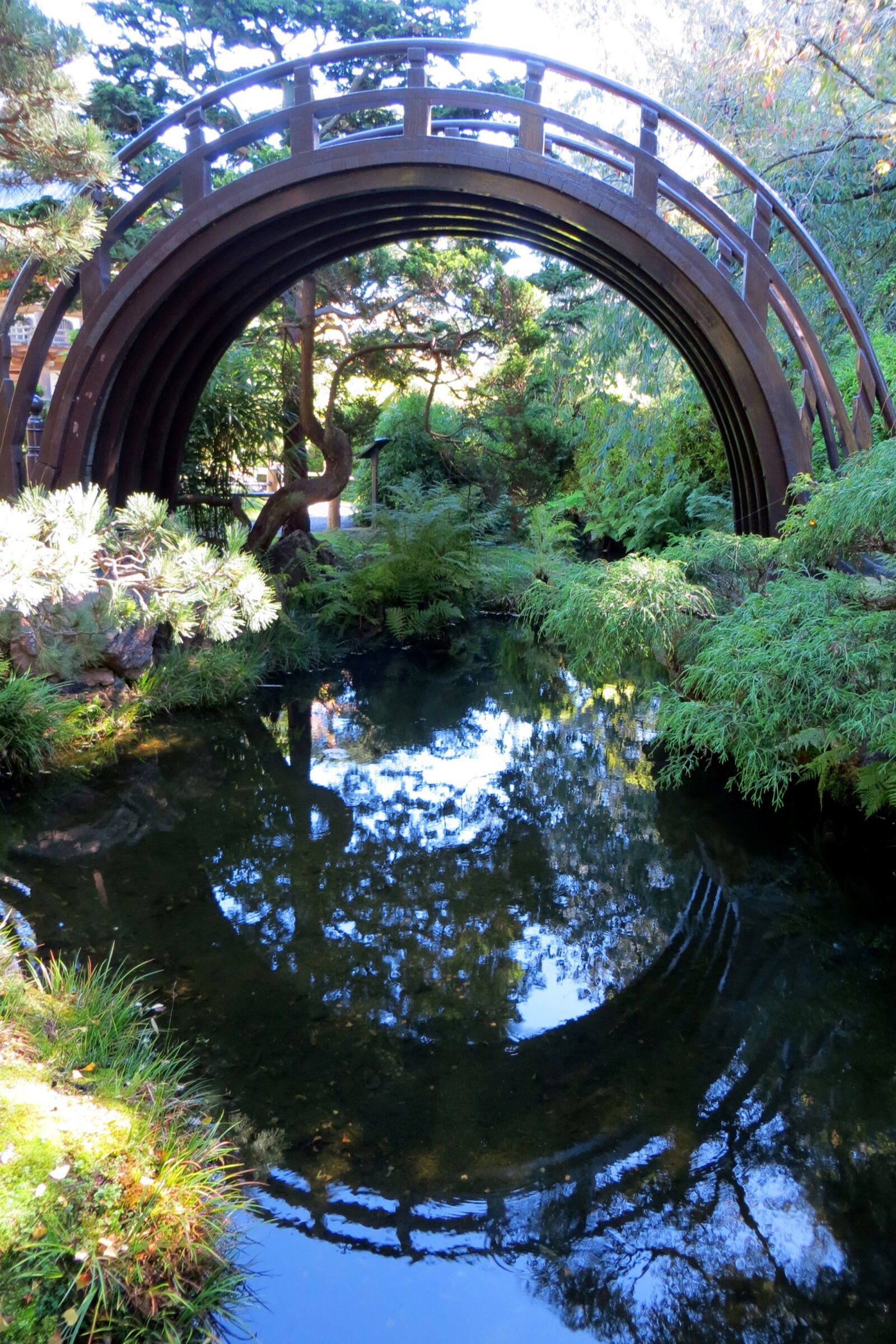 Canon PowerShot SX260 HS sample photo. Japan, japanese, garden photography