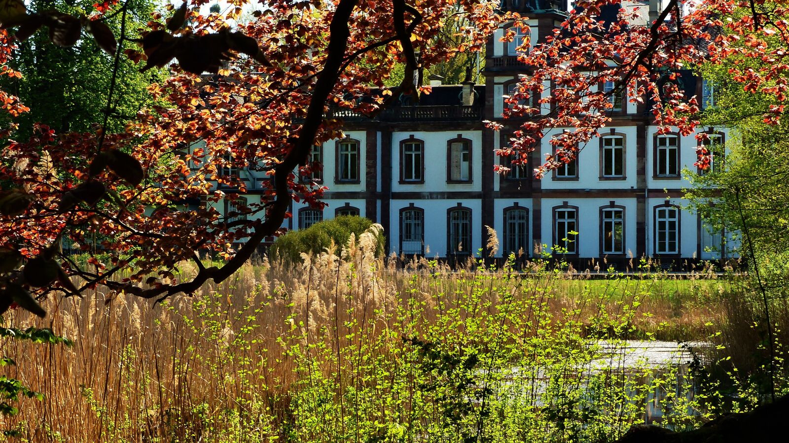 Panasonic Lumix DMC-FZ200 sample photo. France, strasbourg, castle photography