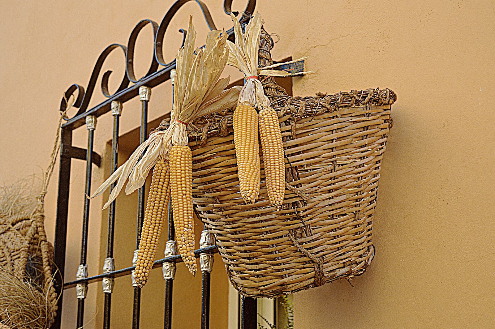 Nikon D3200 sample photo. Corn, esparto, basket of photography