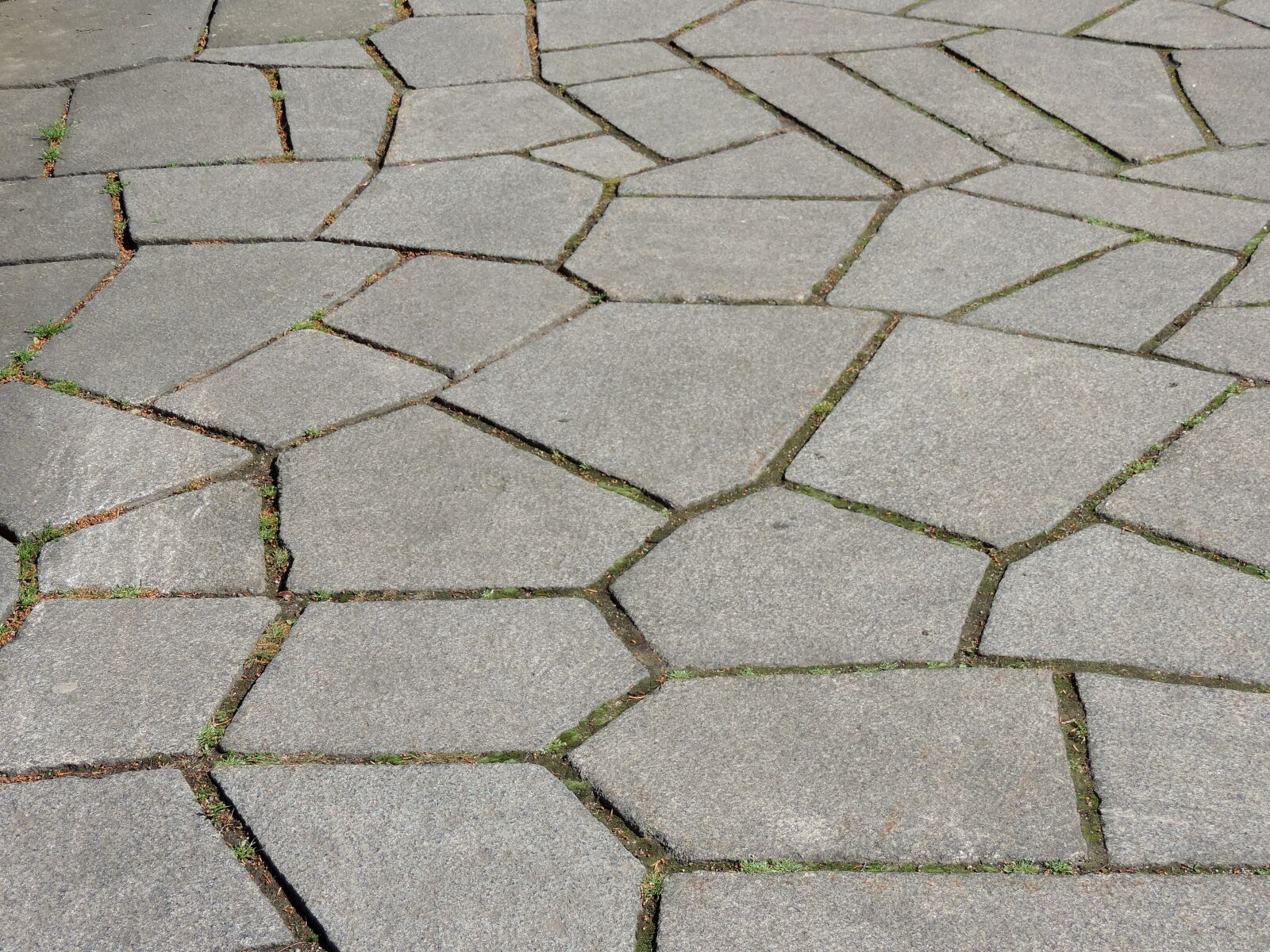 Nikon Coolpix P520 sample photo. Paving stone, ground, pavement photography