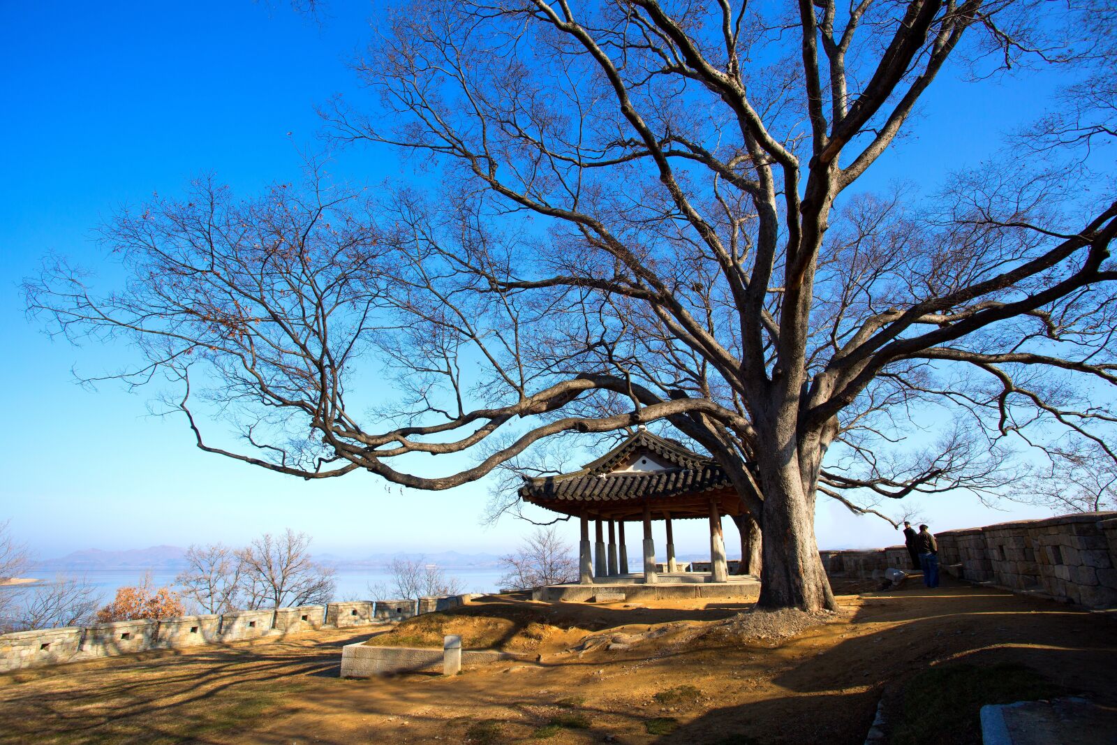 Canon EF 17-40mm F4L USM sample photo. Ganghwado, year already, republic photography