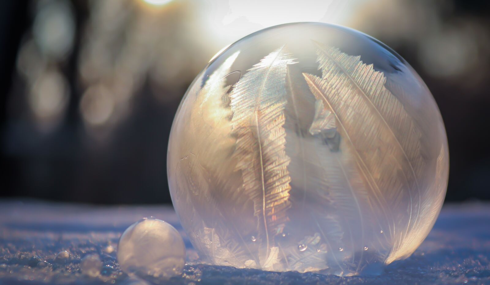 Canon EOS 200D (EOS Rebel SL2 / EOS Kiss X9) sample photo. Frozen bubble, soap bubble photography