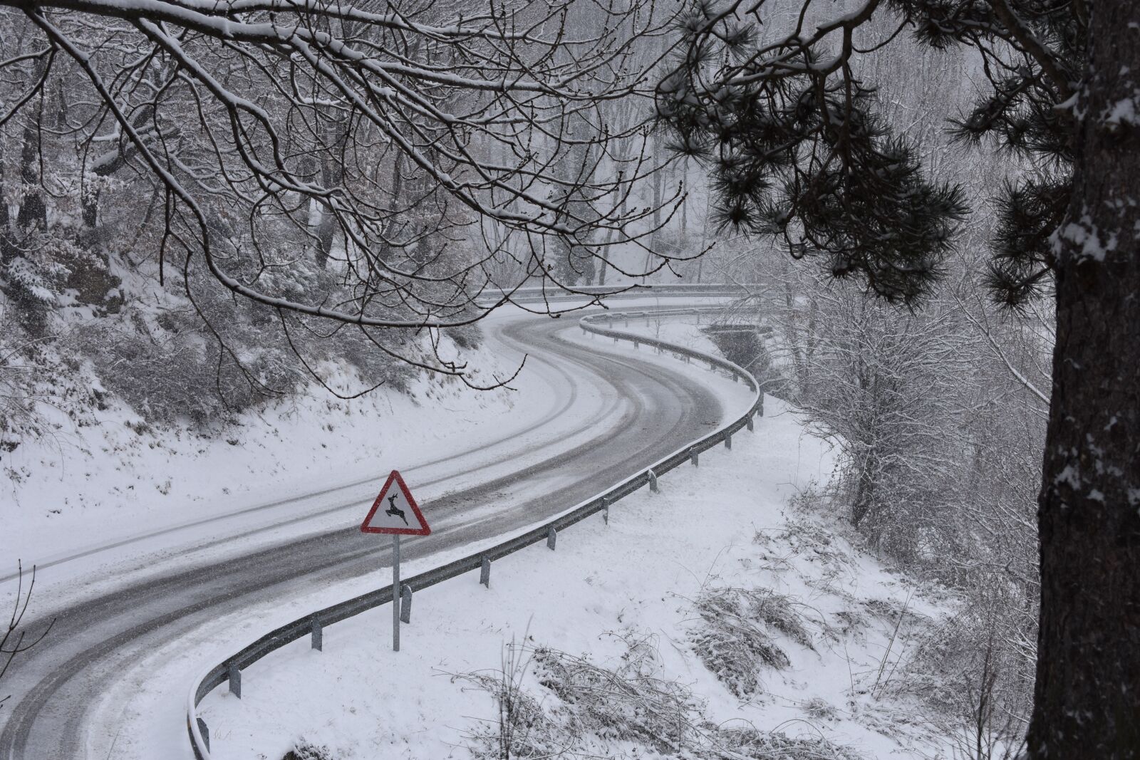 Nikon D3400 sample photo. Road, landscape, snow photography