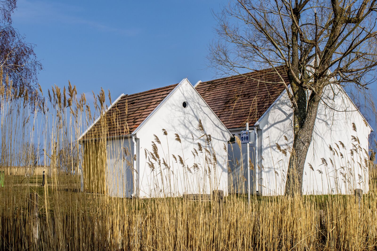 Nikon D3300 sample photo. Neusiedler see, austria, burgenland photography