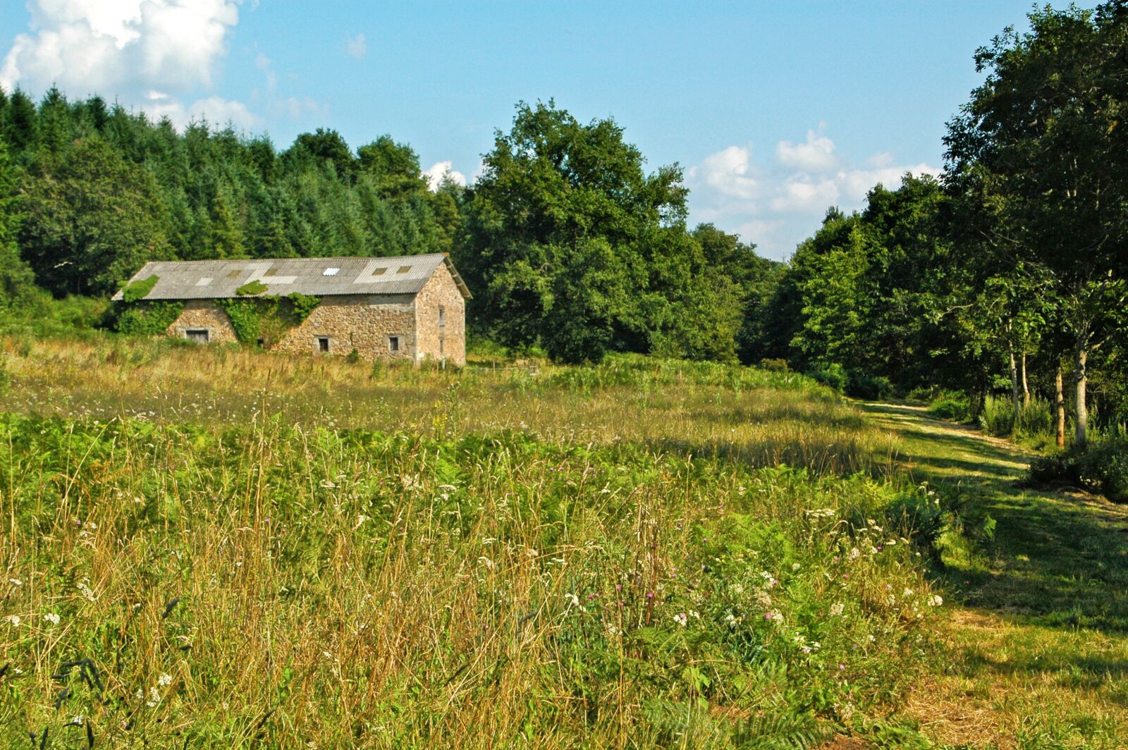 Nikon D70 sample photo. Barn, stone, countryside photography