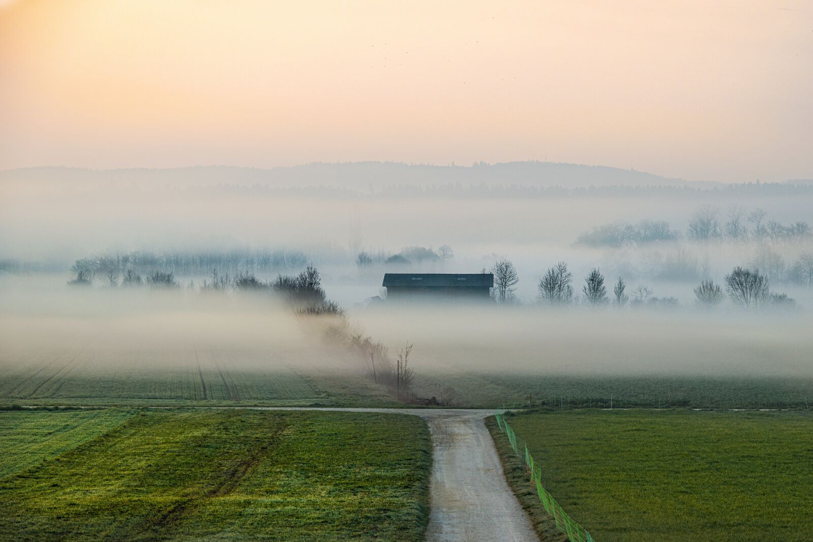 Canon EOS R sample photo. Fog, haze, morning photography