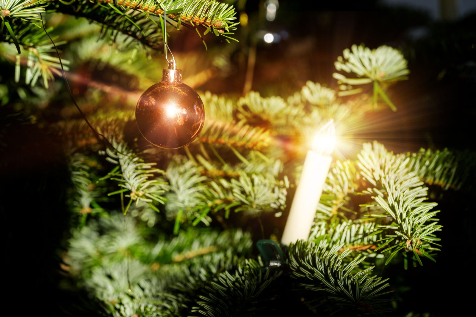 Fujifilm X-T2 + Fujifilm XF 80mm F2.8 R LM OIS WR Macro sample photo. Christmas, christmas time, christmas photography