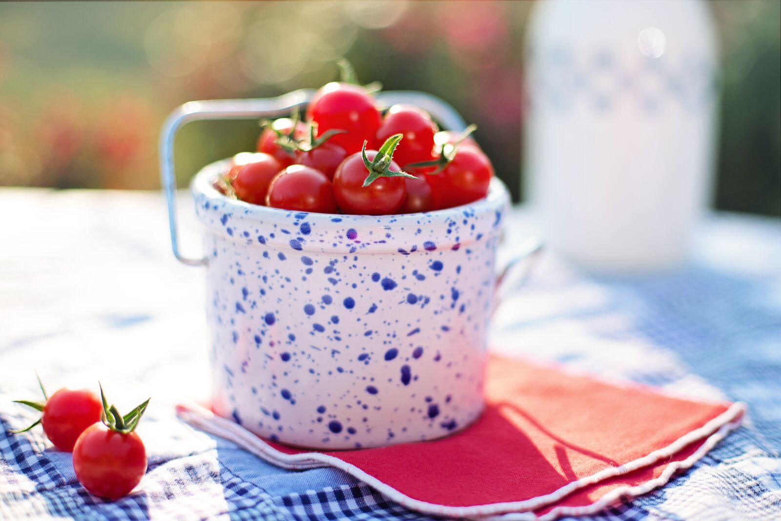 Canon EF 50mm F1.4 USM sample photo. Cherry tomatoes, tomatoes, ripe photography