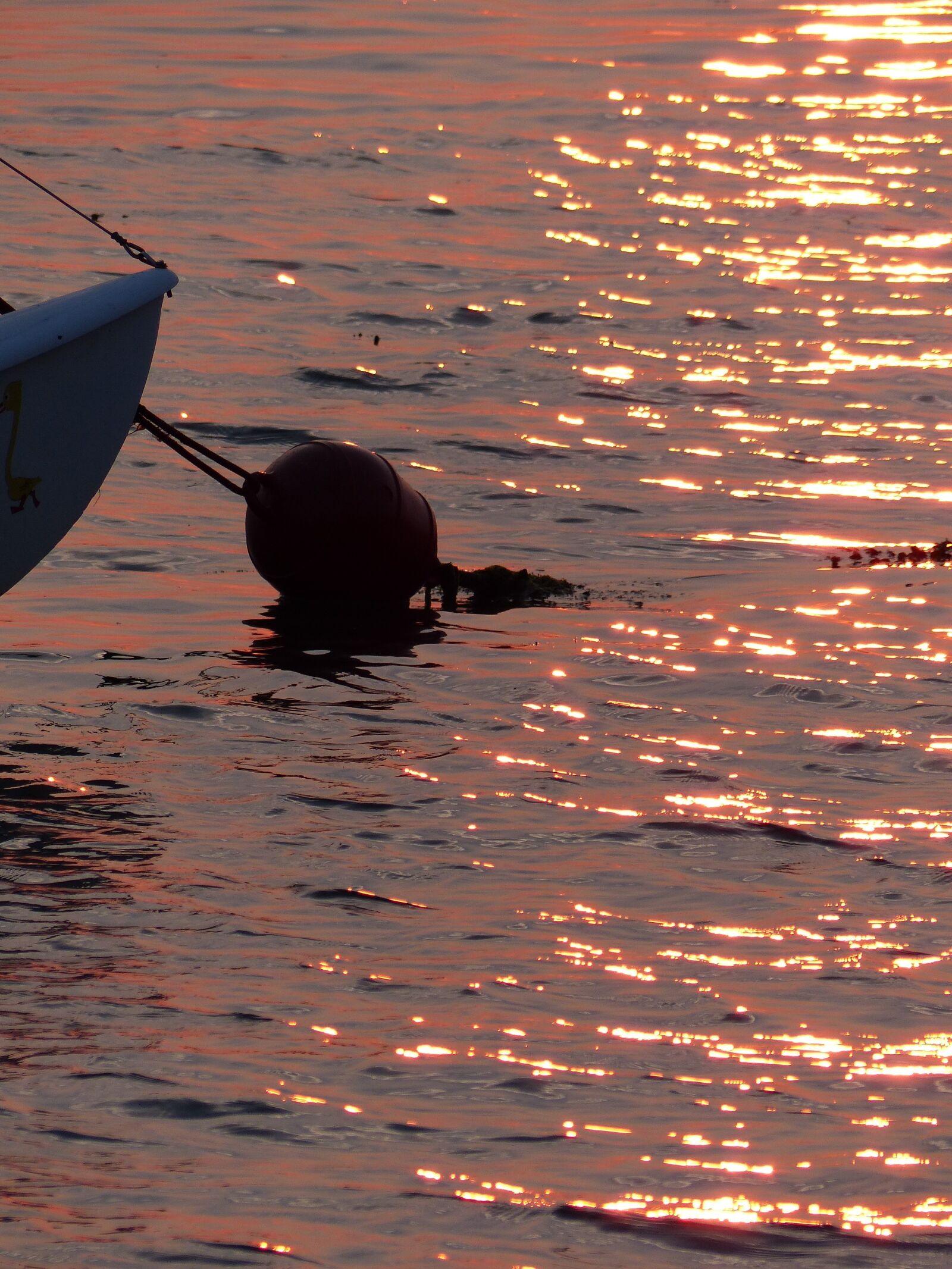 Panasonic Lumix DMC-FZ200 sample photo. Buoy, evening, sea photography