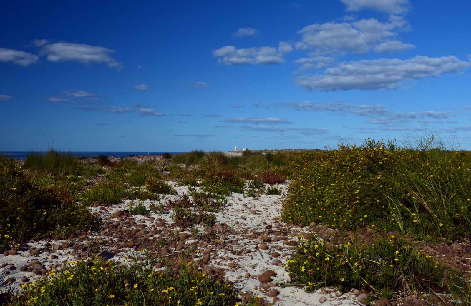 Nikon D3300 sample photo. Dune, beach, sand photography