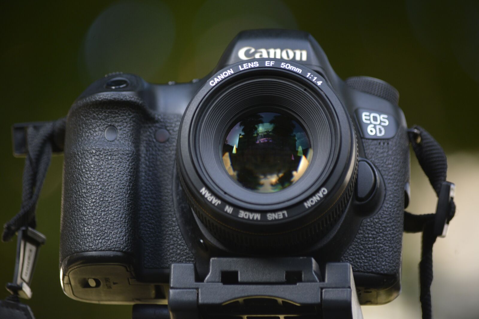 Nikon D5200 sample photo. Canon, camera, eos photography