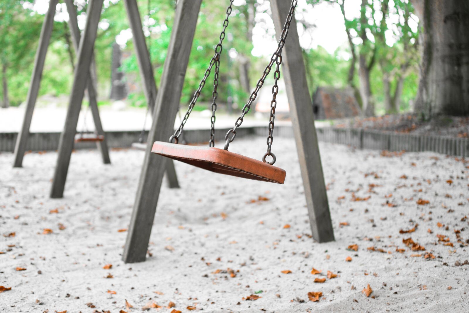 Nikon D610 sample photo. Empty, swing, park photography