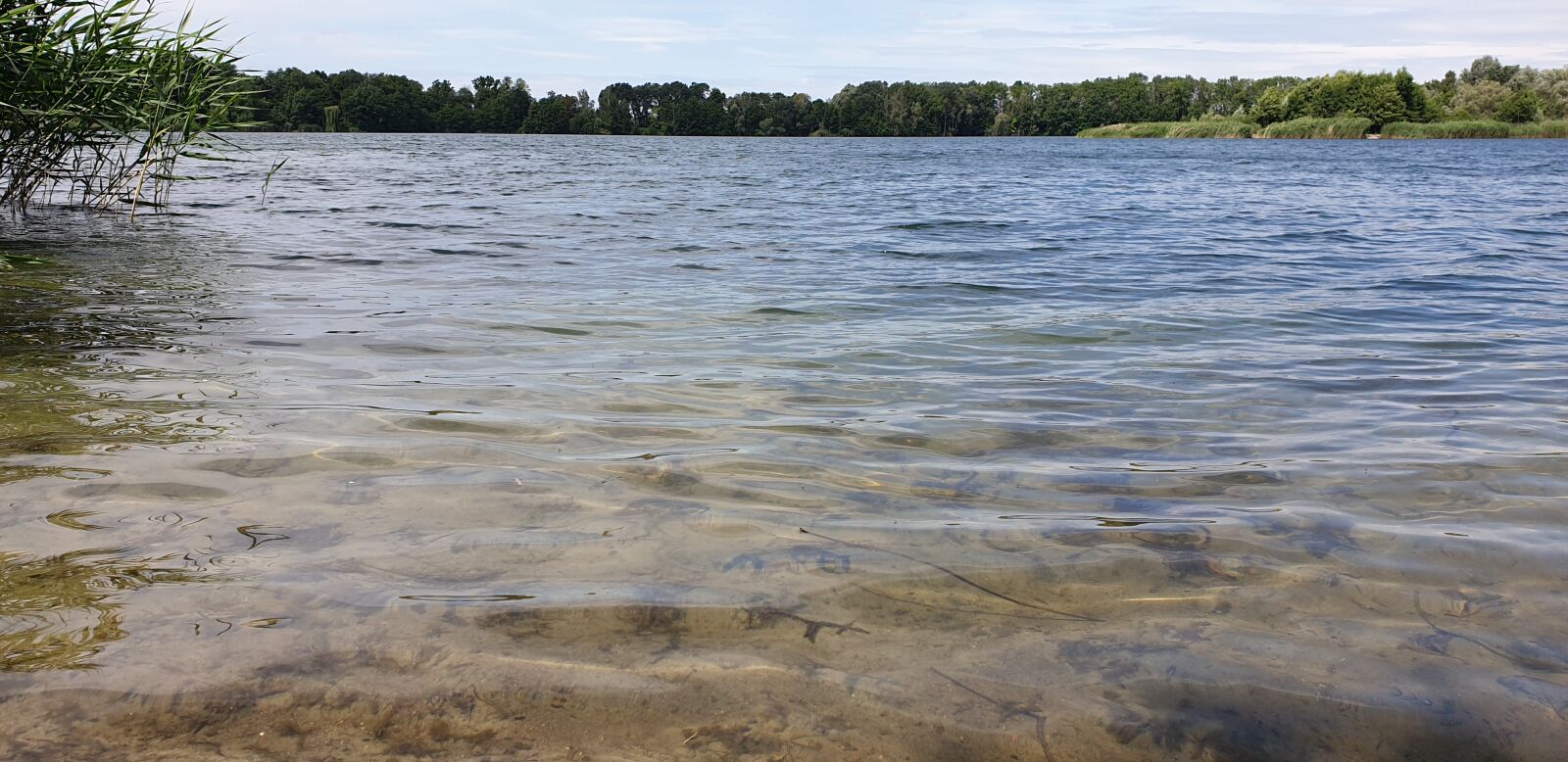 Samsung Galaxy S9 sample photo. Lake in brandenburg, nature photography