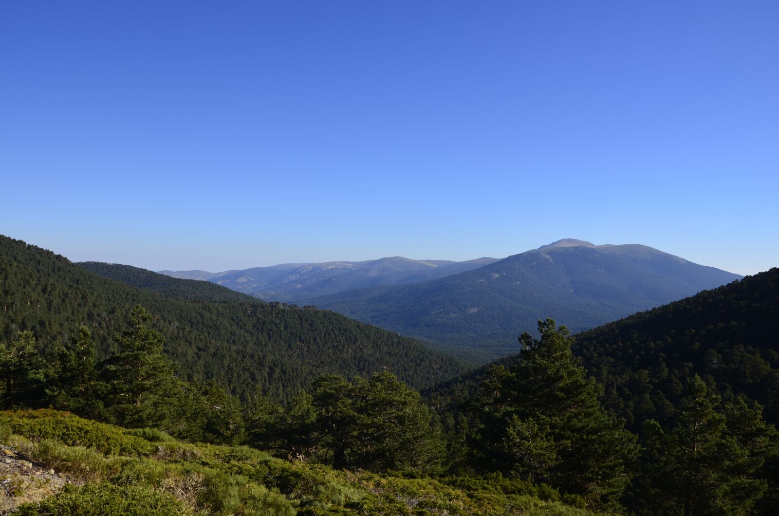 Nikon D5100 sample photo. Breathing, sierra, mountain photography
