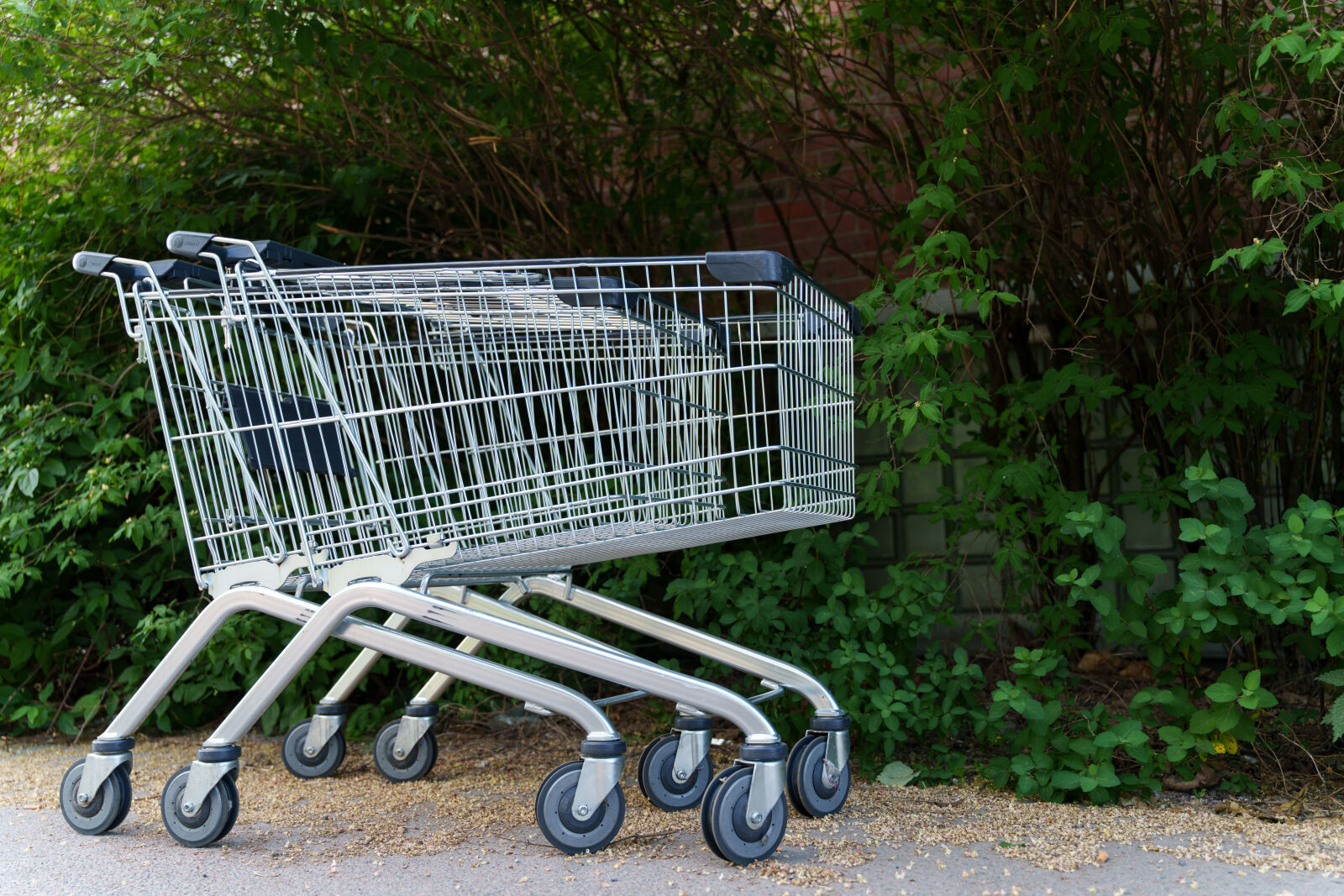 Sony a7R V sample photo. Shopping carts photography