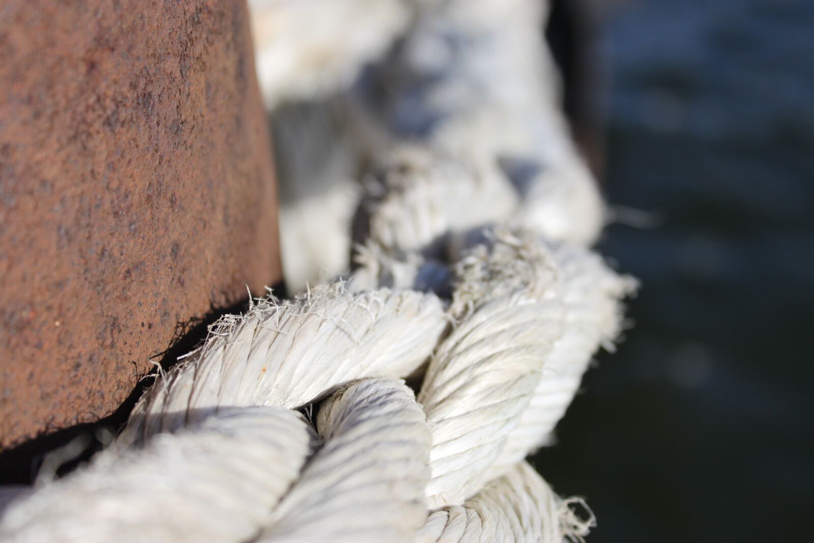 Canon EOS 500D (EOS Rebel T1i / EOS Kiss X3) sample photo. Rope, rust, macro photography