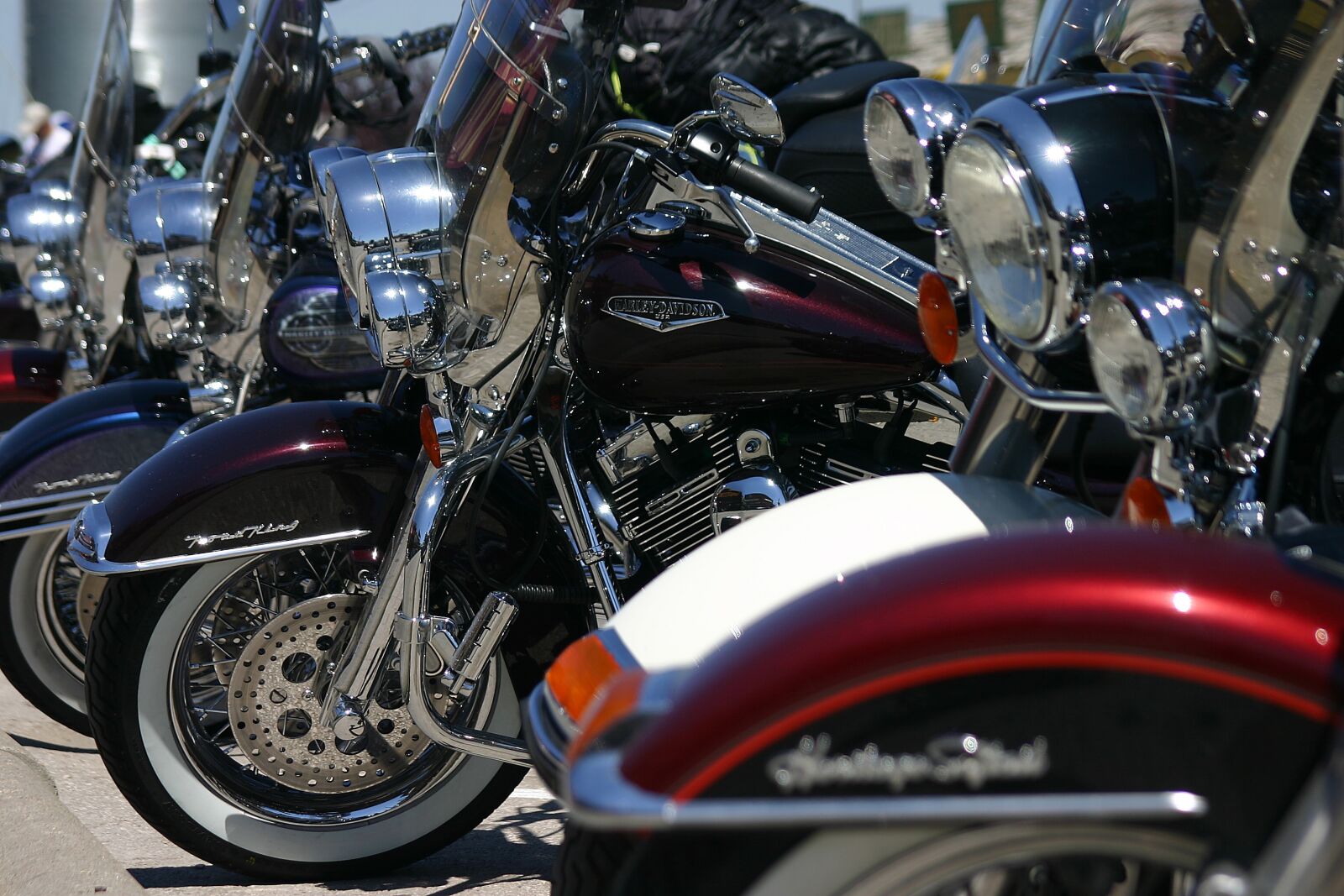Canon EOS 300D (EOS Digital Rebel / EOS Kiss Digital) sample photo. Harley, chopper, motorcycle photography