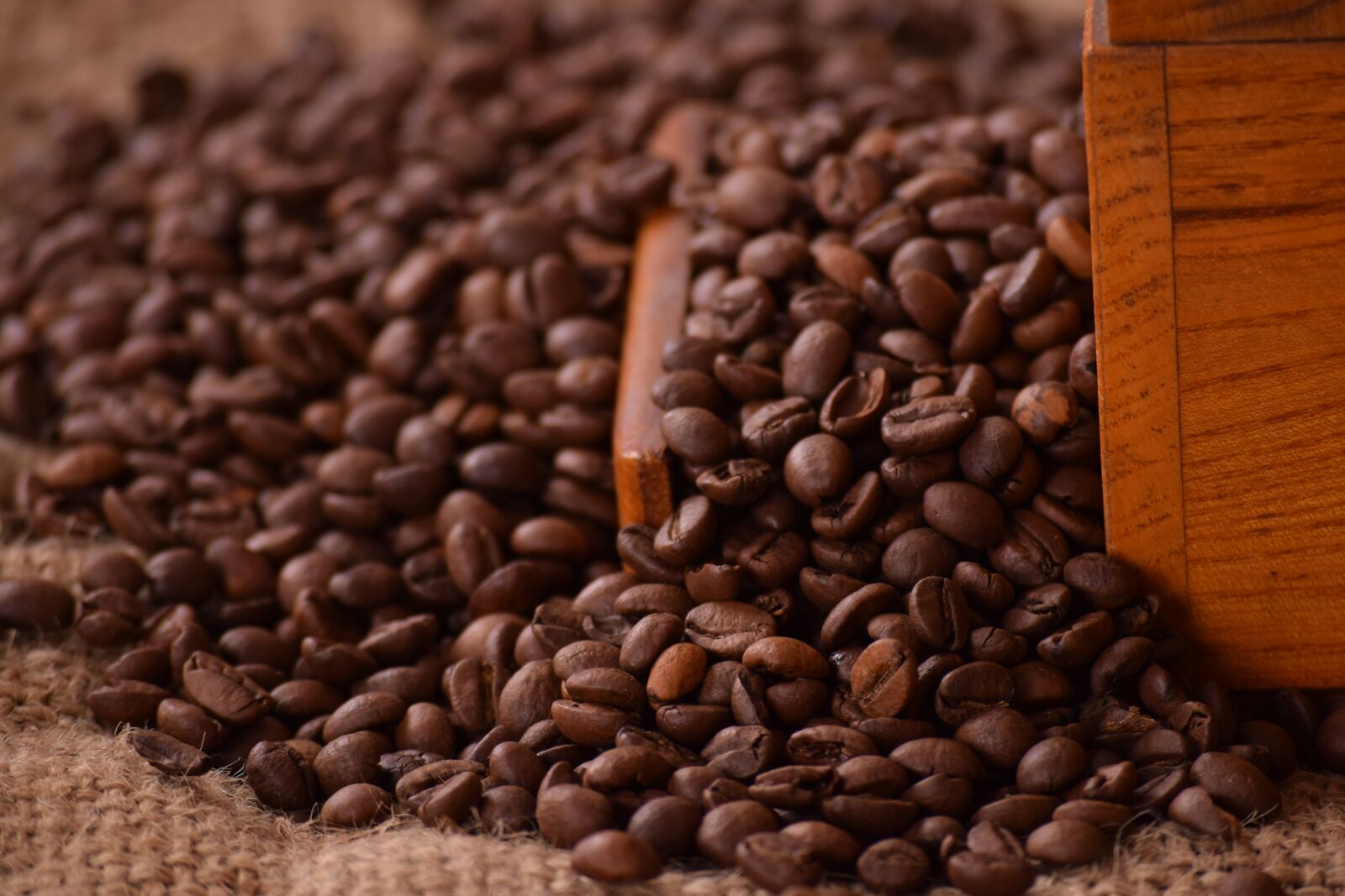 Nikon D3300 sample photo. Coffee, caffeine, seed photography