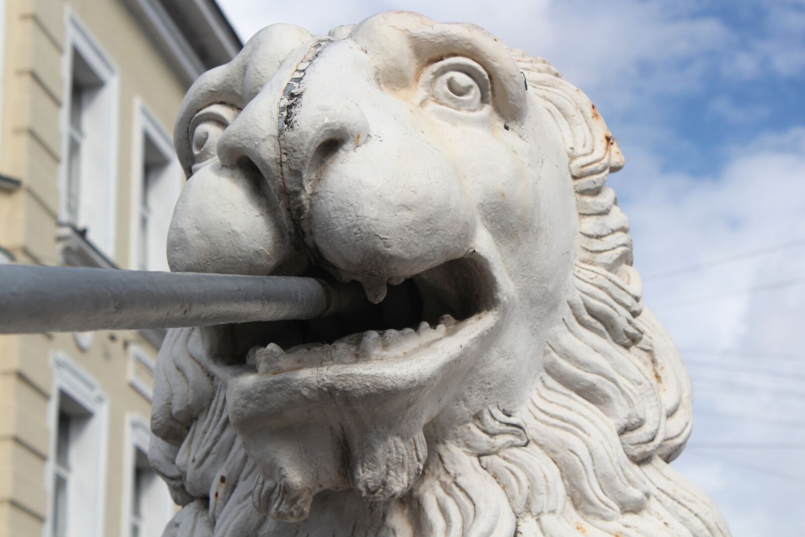 Canon EOS 550D (EOS Rebel T2i / EOS Kiss X4) sample photo. The lion, statue, cast photography