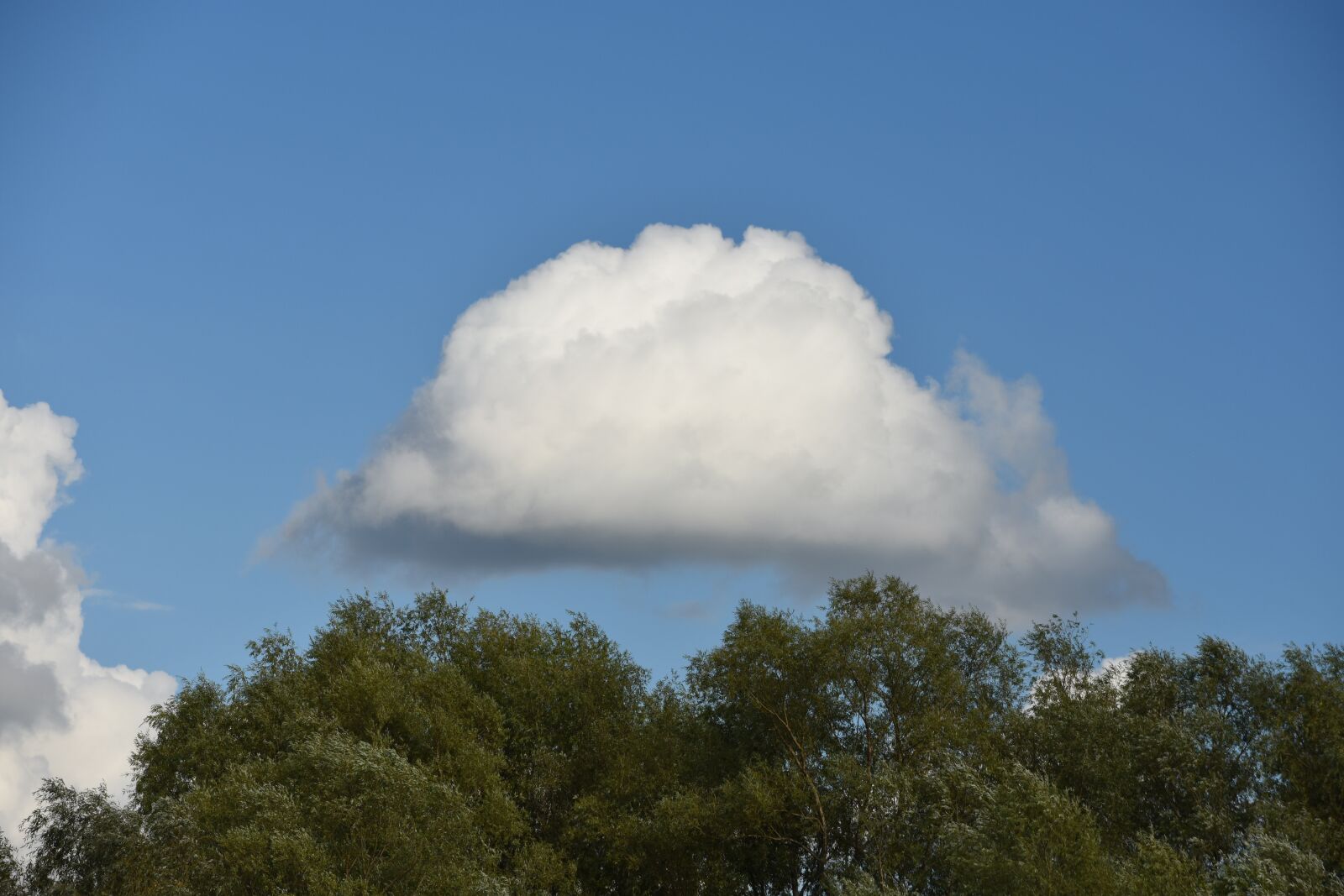 Nikon D3400 sample photo. Cloud, forest, sky photography