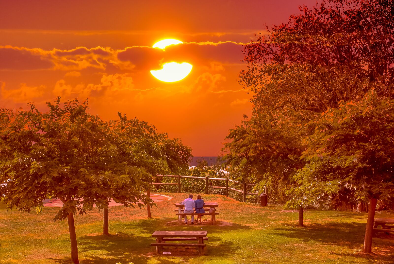 Nikon D80 sample photo. Park, landscape, green photography