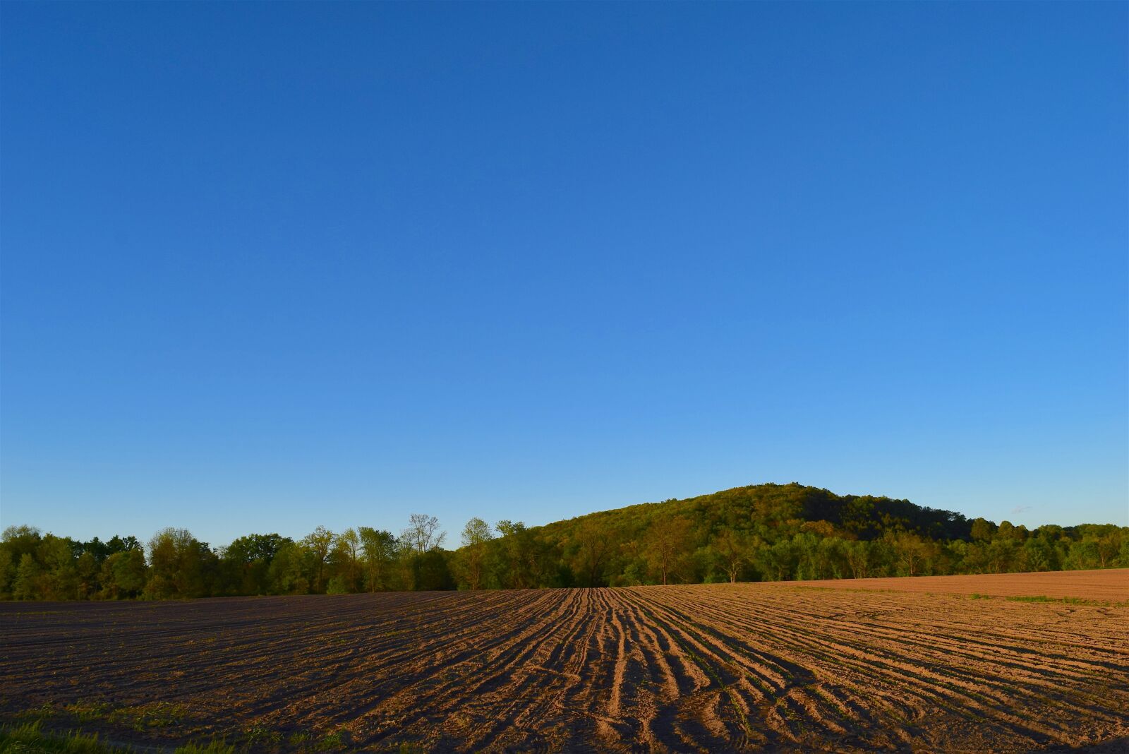 Nikon D3300 sample photo. Farm, land, agriculture photography
