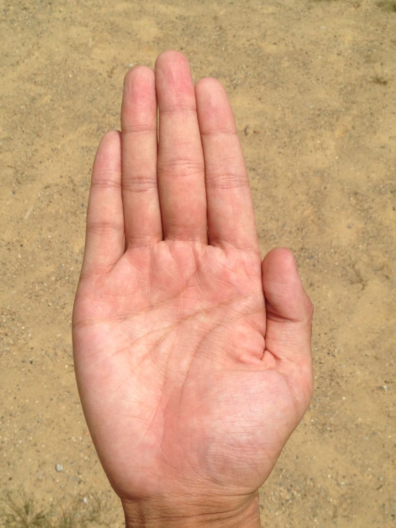 iPhone 5 back camera 4.12mm f/2.4 sample photo. Palm, hand, finger photography