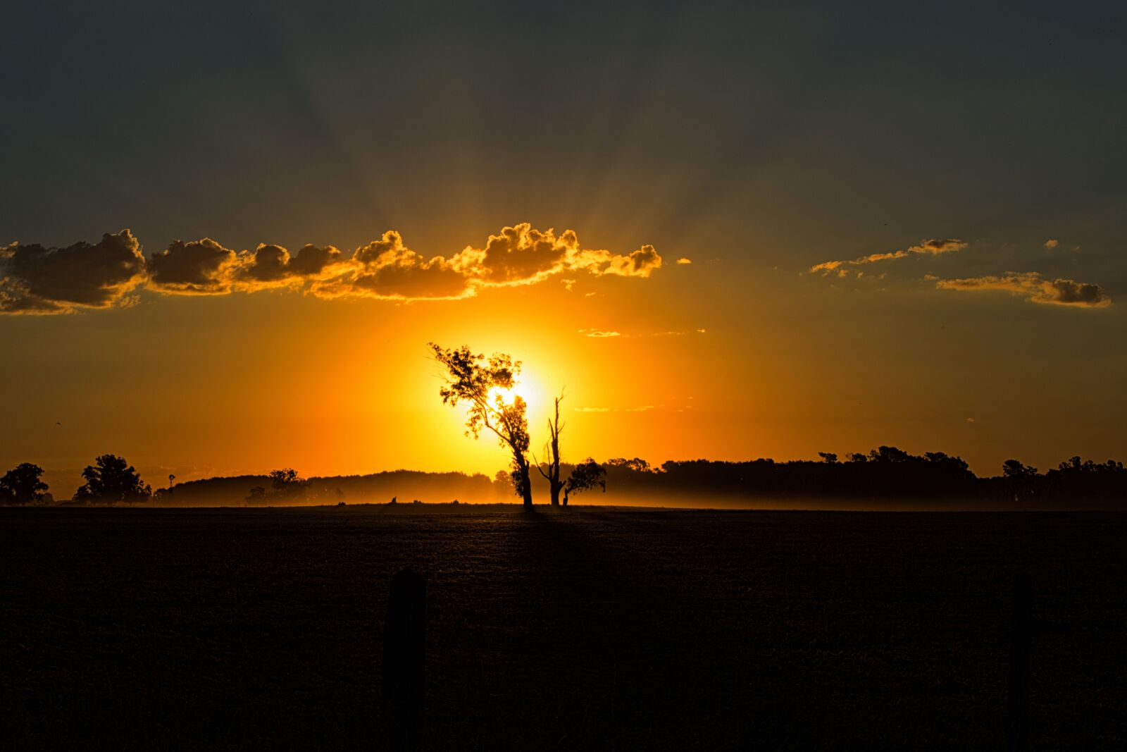 Nikon D5200 sample photo. Landscape, sun, field photography