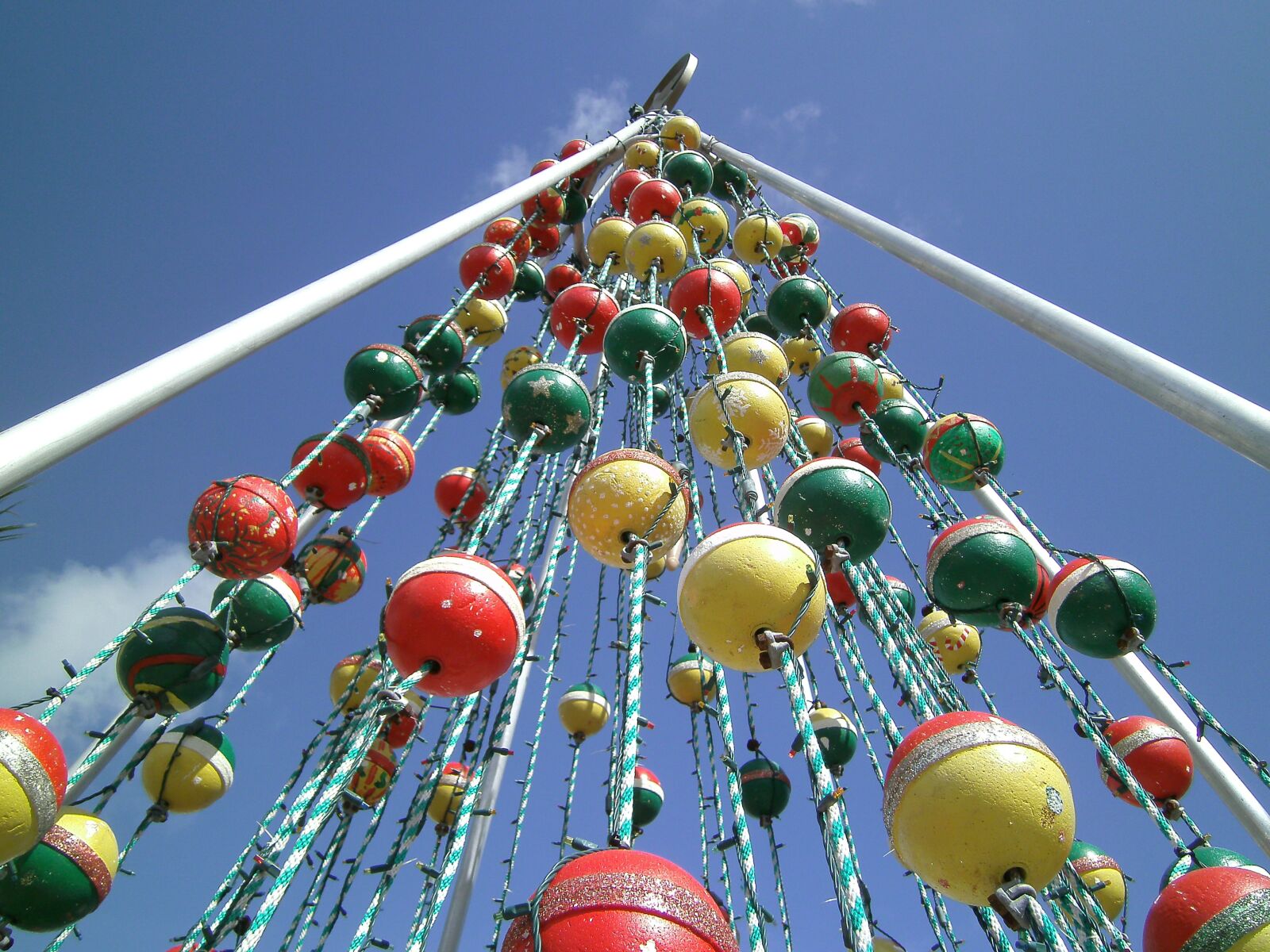 SeaLife                 DC1400 sample photo. Key west, christmas tree photography