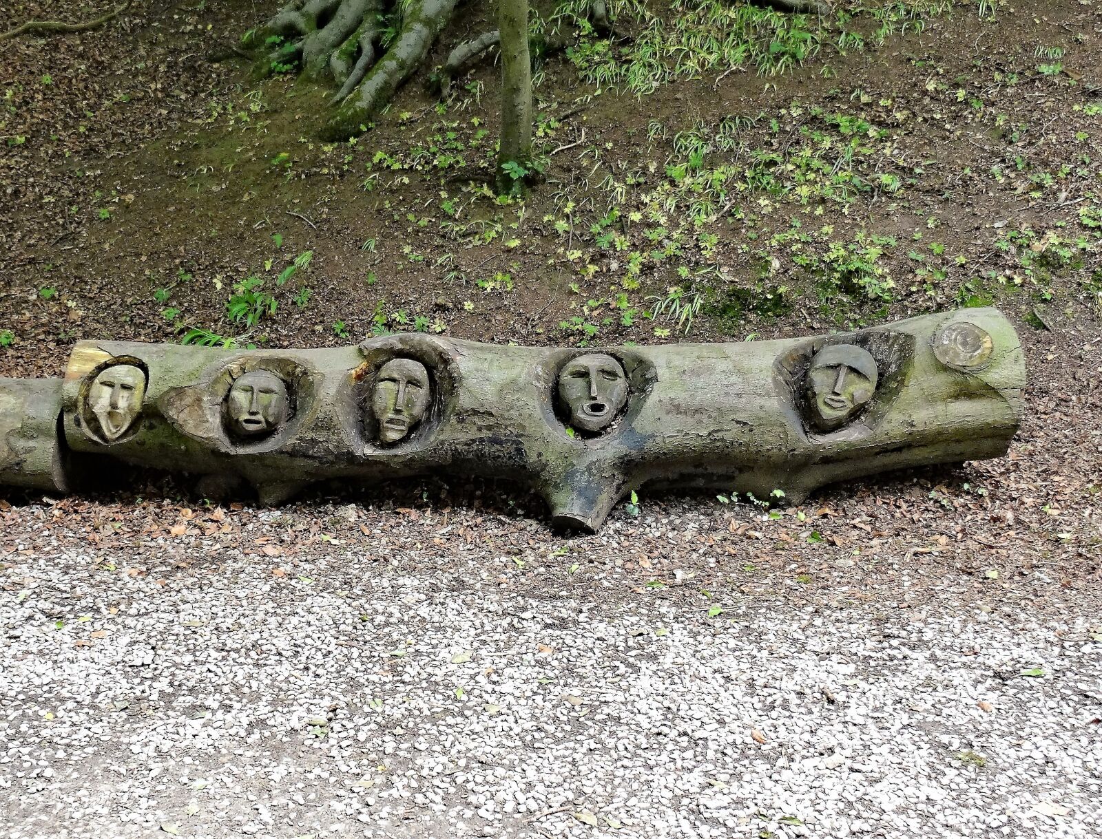 Sony DSC-HX50 sample photo. Witches, carved, log photography