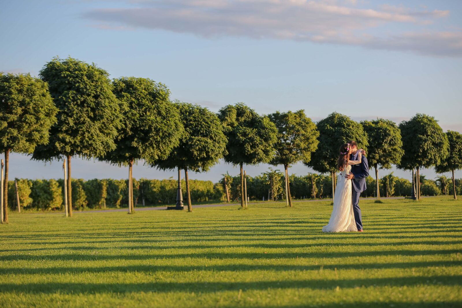 Canon EOS 5D Mark III sample photo. Green, field, garden, groom photography