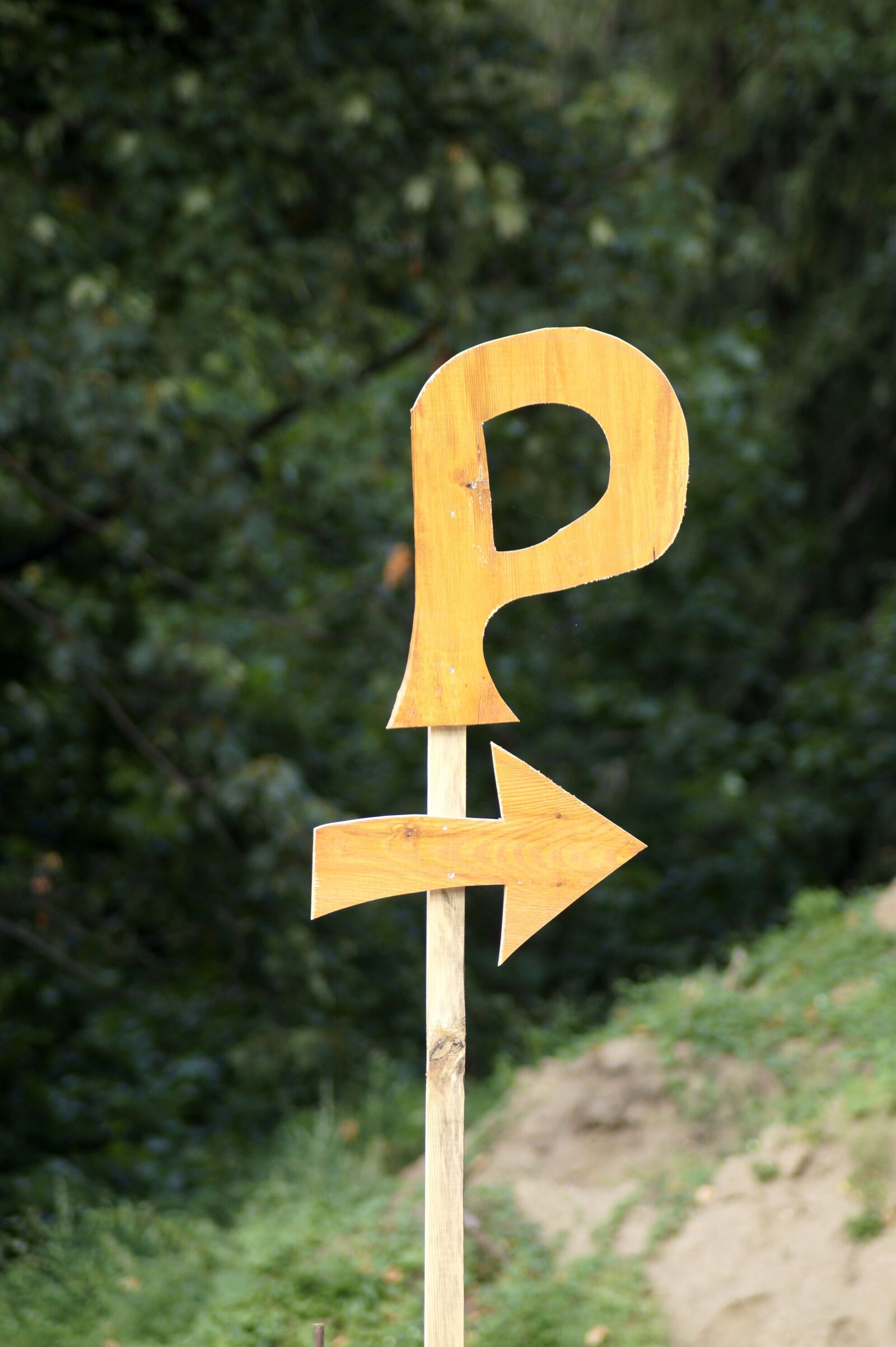 Sony SLT-A58 sample photo. Parking, p, symbol photography