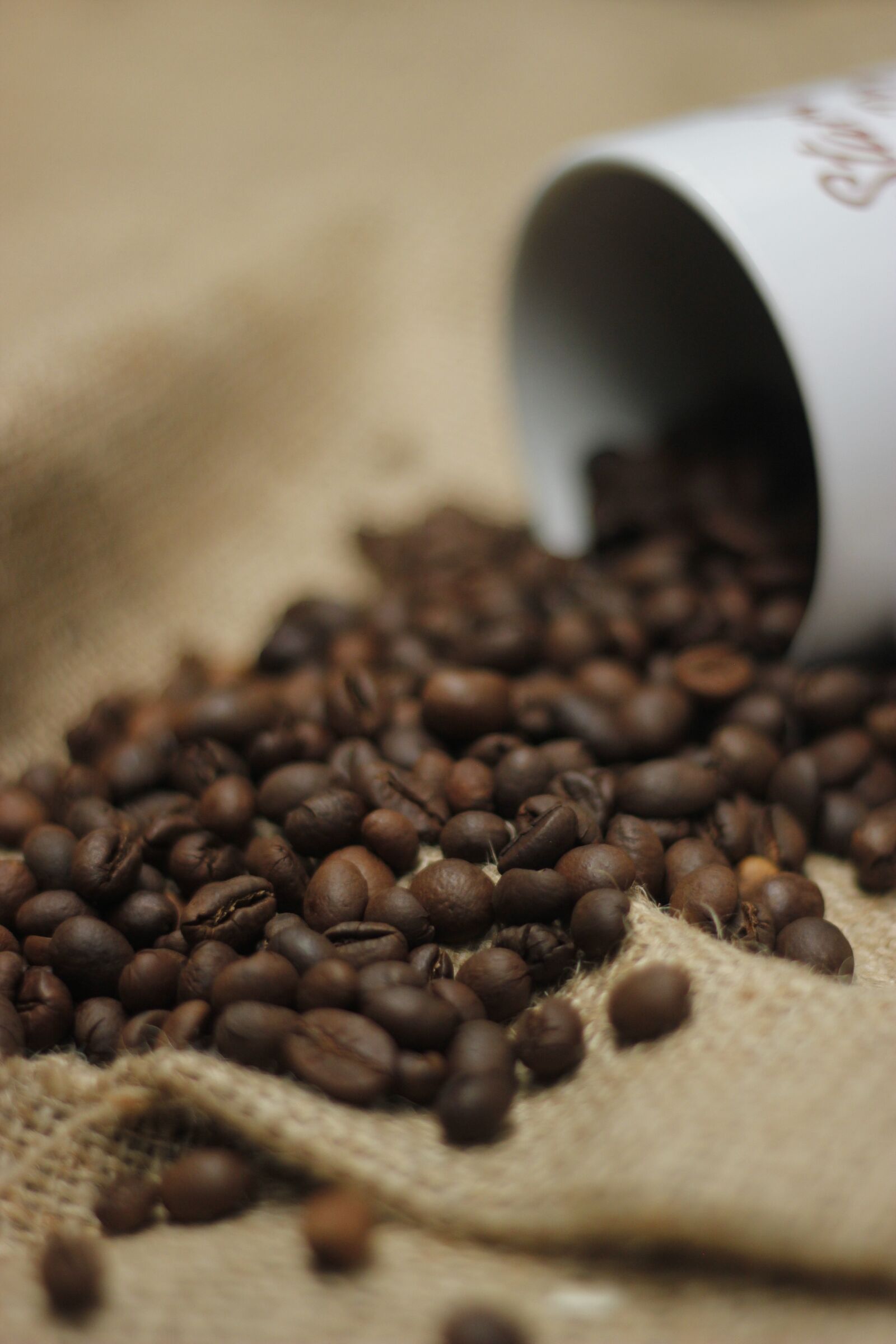 Canon EOS 550D (EOS Rebel T2i / EOS Kiss X4) sample photo. Coffee, coffee beans, aroma photography