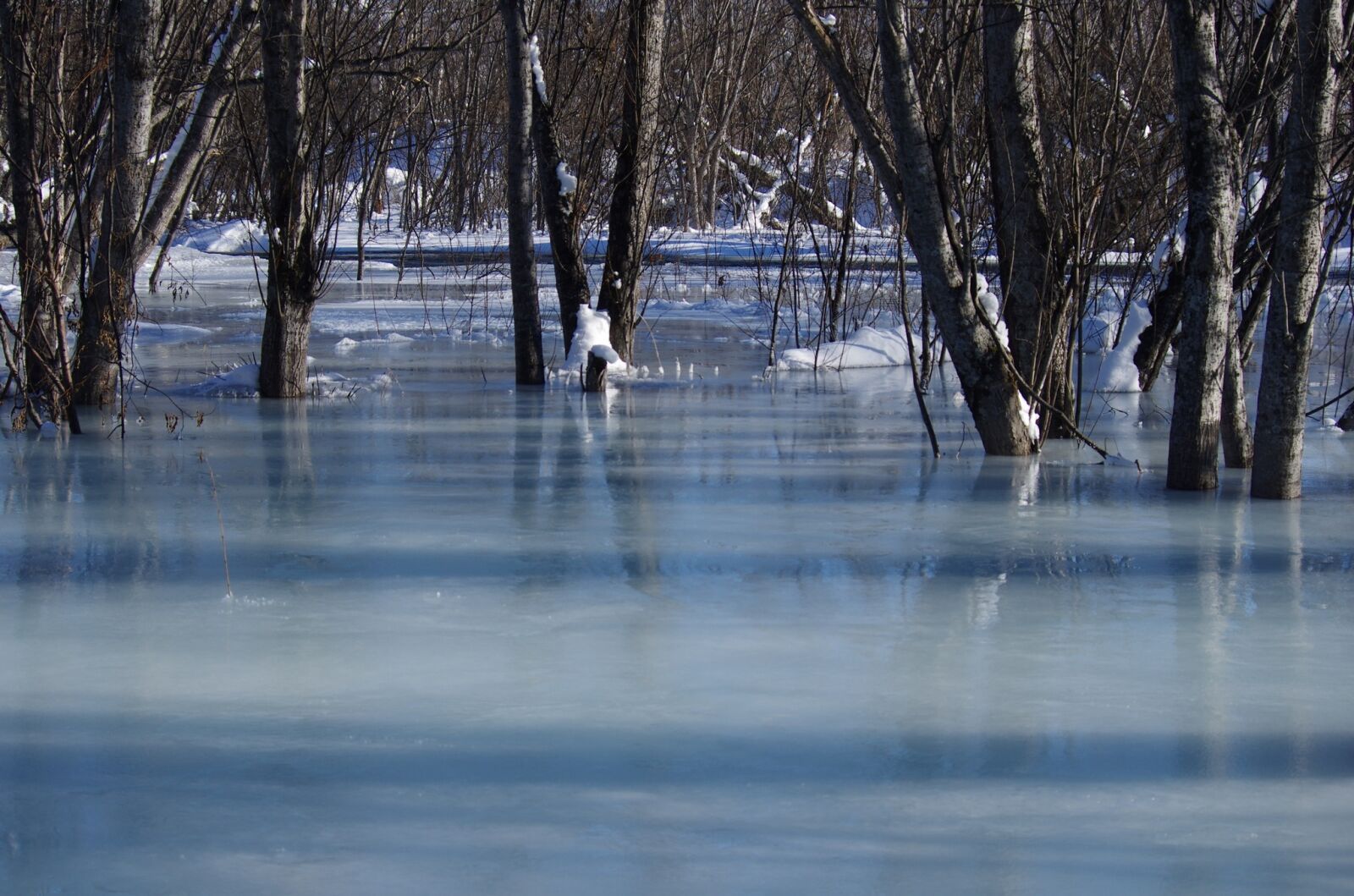 Pentax K-5 sample photo. River, back on track photography