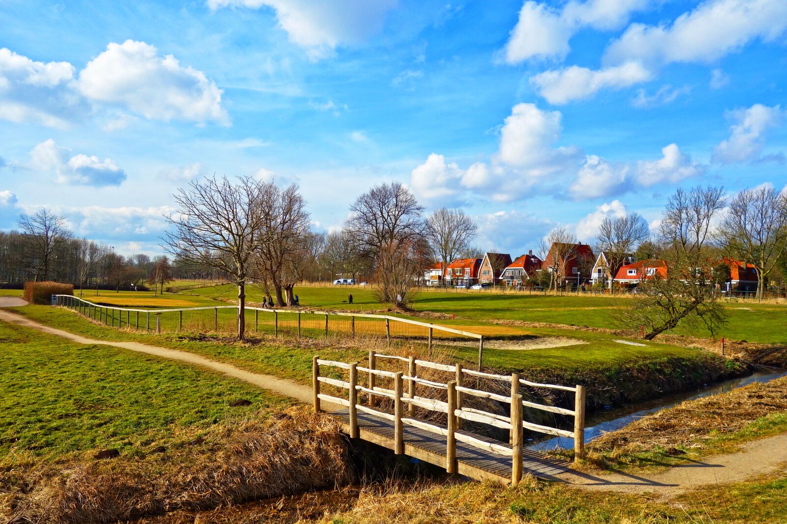 Sony Cyber-shot DSC-RX100 sample photo. Bridge, field, footpath photography