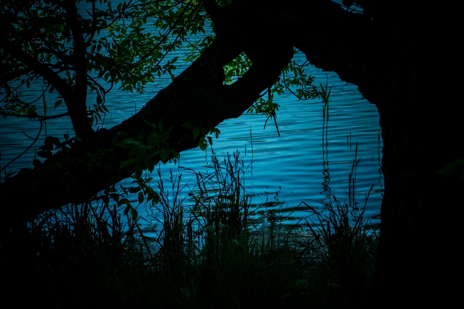 Nikon D5300 sample photo. Still life, water, surface photography