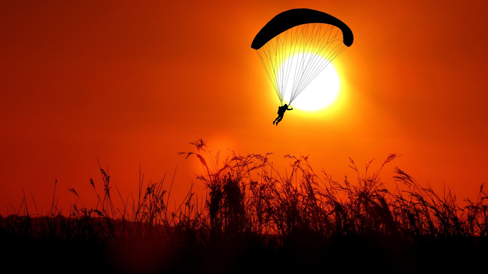 Panasonic Lumix DMC-FZ200 sample photo. Sunset, paragliding, sky photography