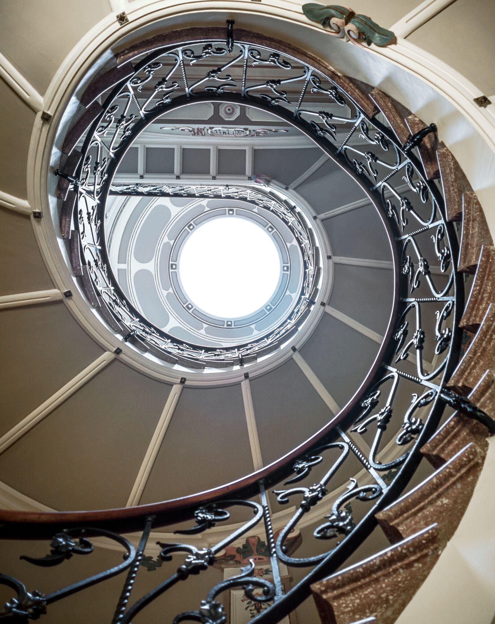 Panasonic Lumix DMC-GX8 sample photo. Fibonacci, golden, leonardo photography