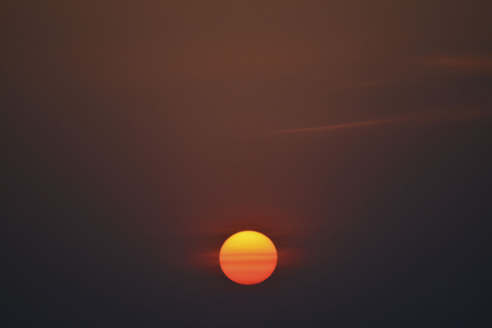Nikon D5200 sample photo. Evening, sun, morning, sun photography