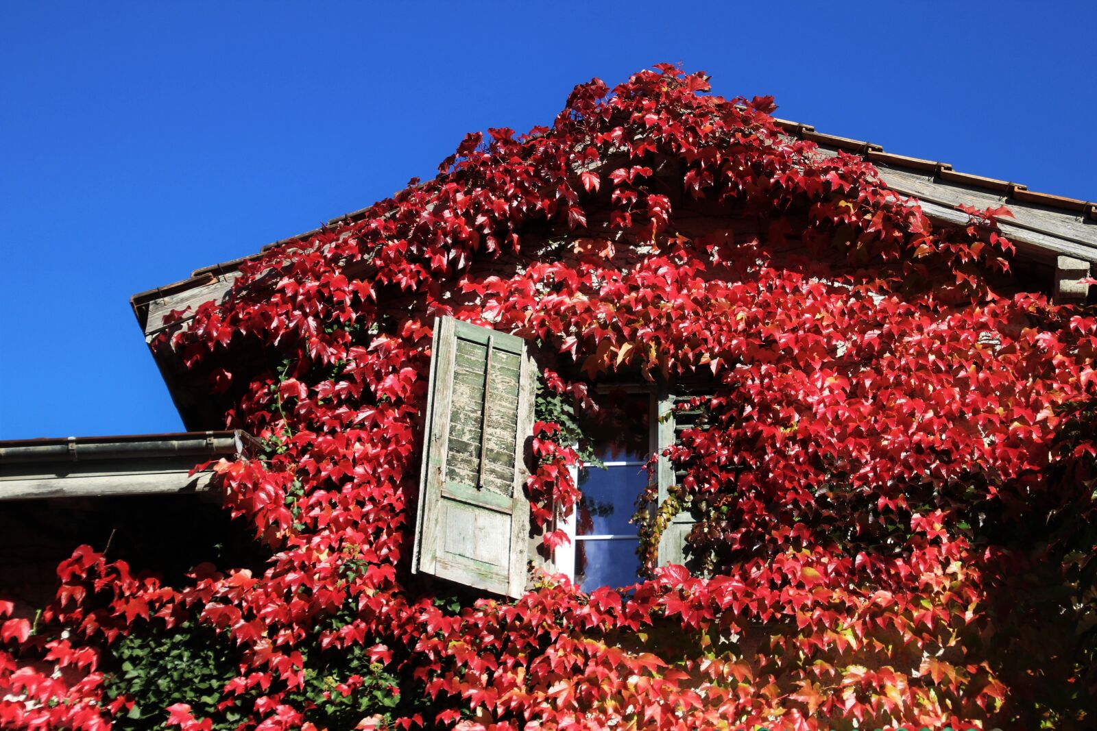 Canon EOS 80D sample photo. Attic, oct, autumn photography