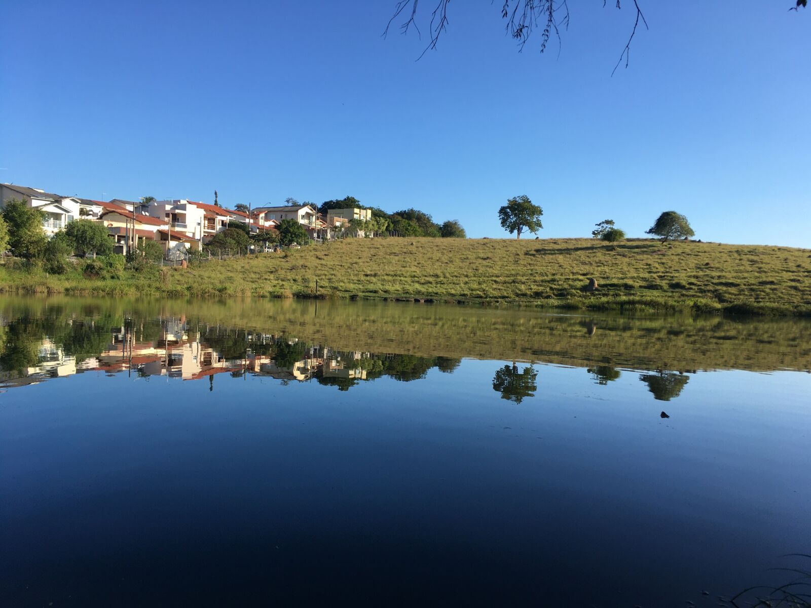 iPhone SE back camera 4.15mm f/2.2 sample photo. Nature, lake, pond photography