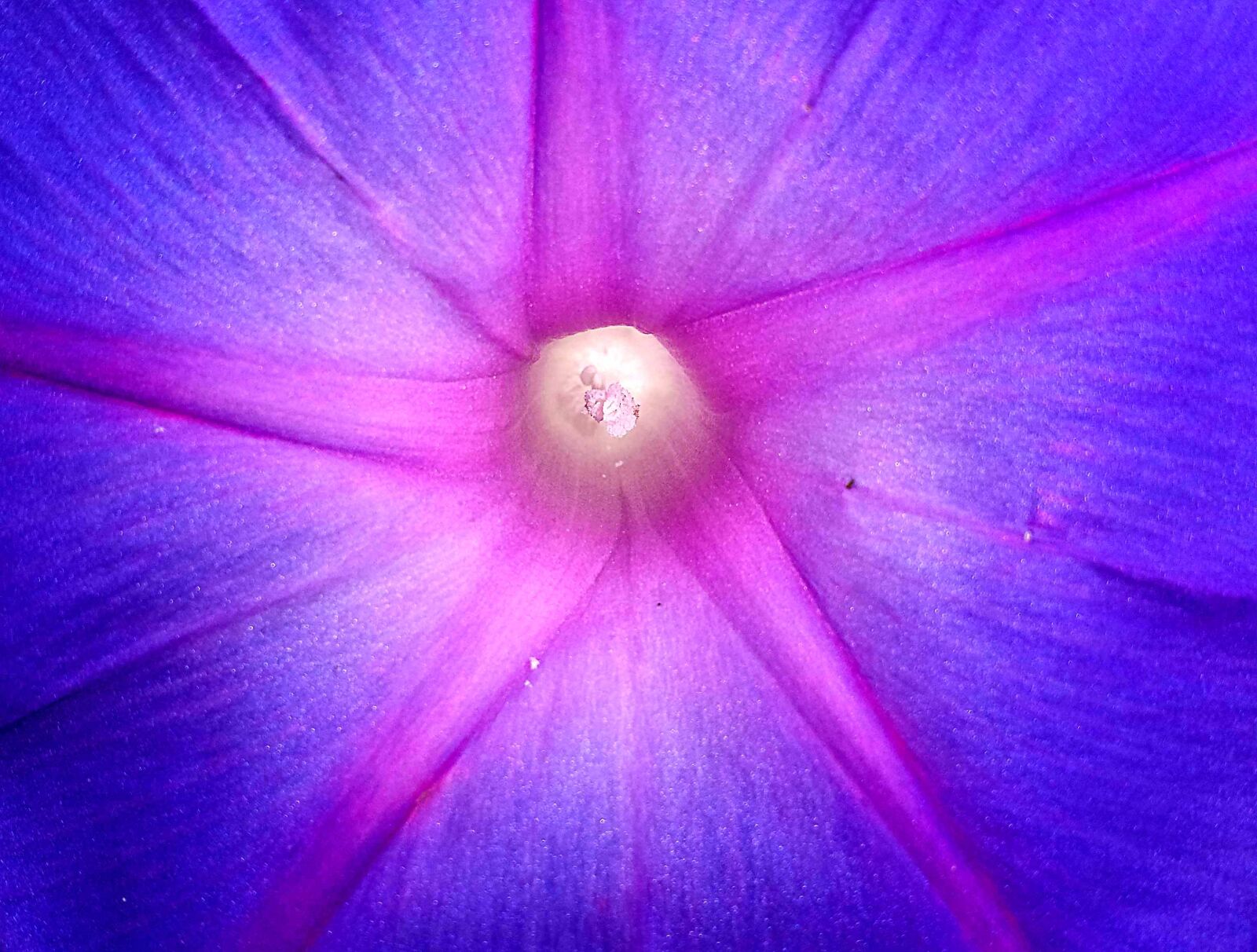 Samsung Galaxy S4 sample photo