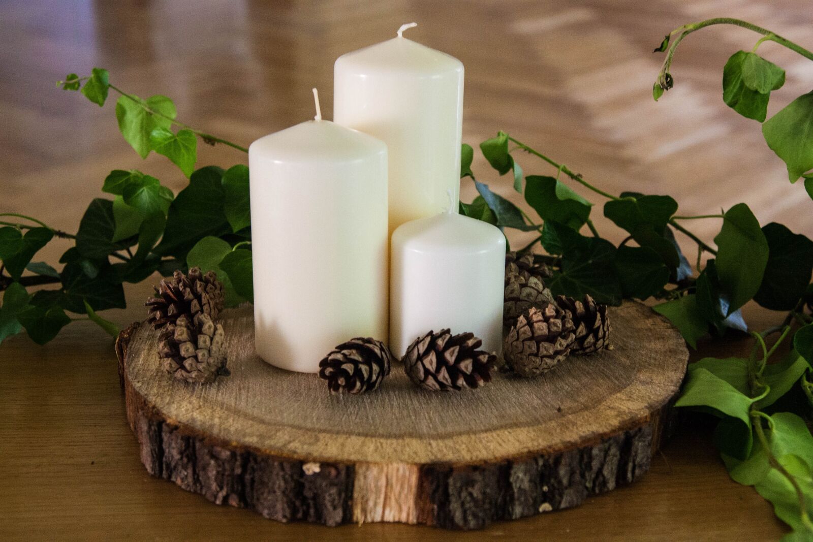 Canon EOS 450D (EOS Rebel XSi / EOS Kiss X2) sample photo. Candles, wood, nature photography