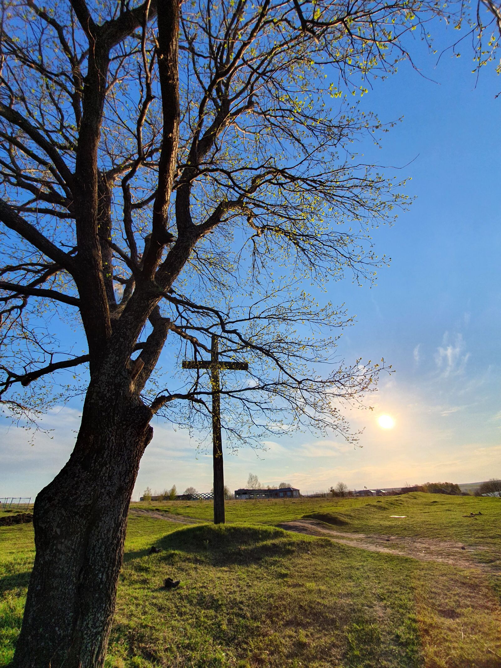 Samsung Galaxy S10 sample photo. Sun, tree, cross photography