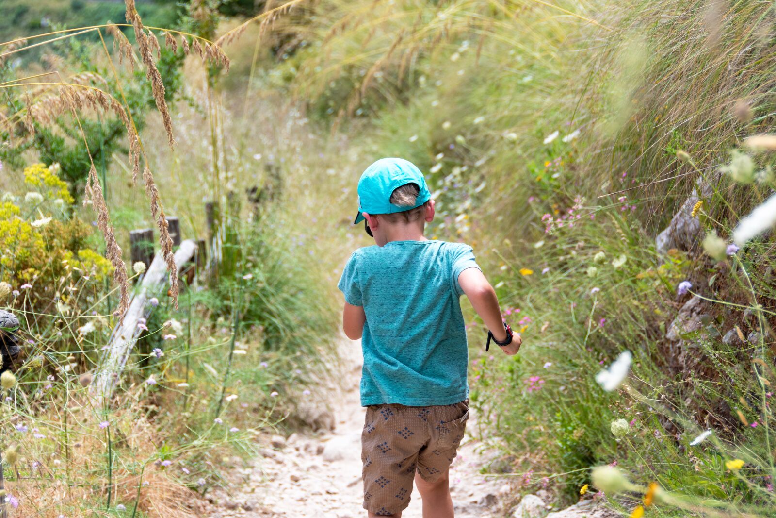 Nikon D500 sample photo. Boy, meadow, small photography