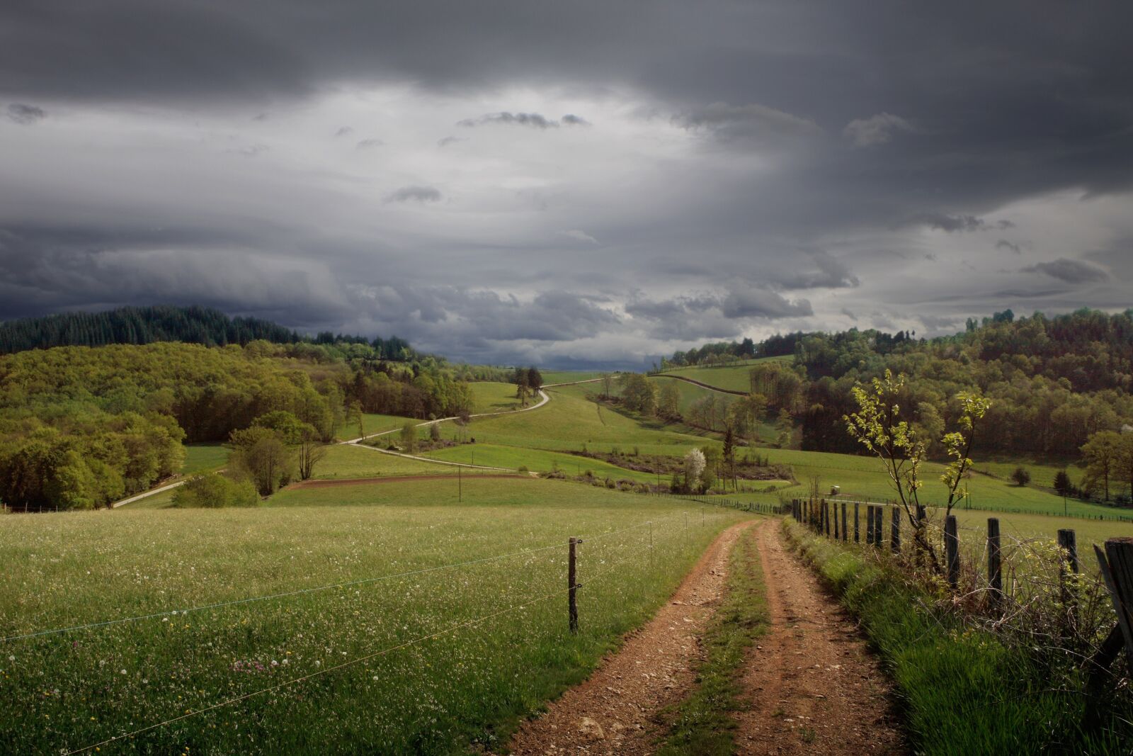 Canon EOS 5D sample photo. Limousin, france, field photography