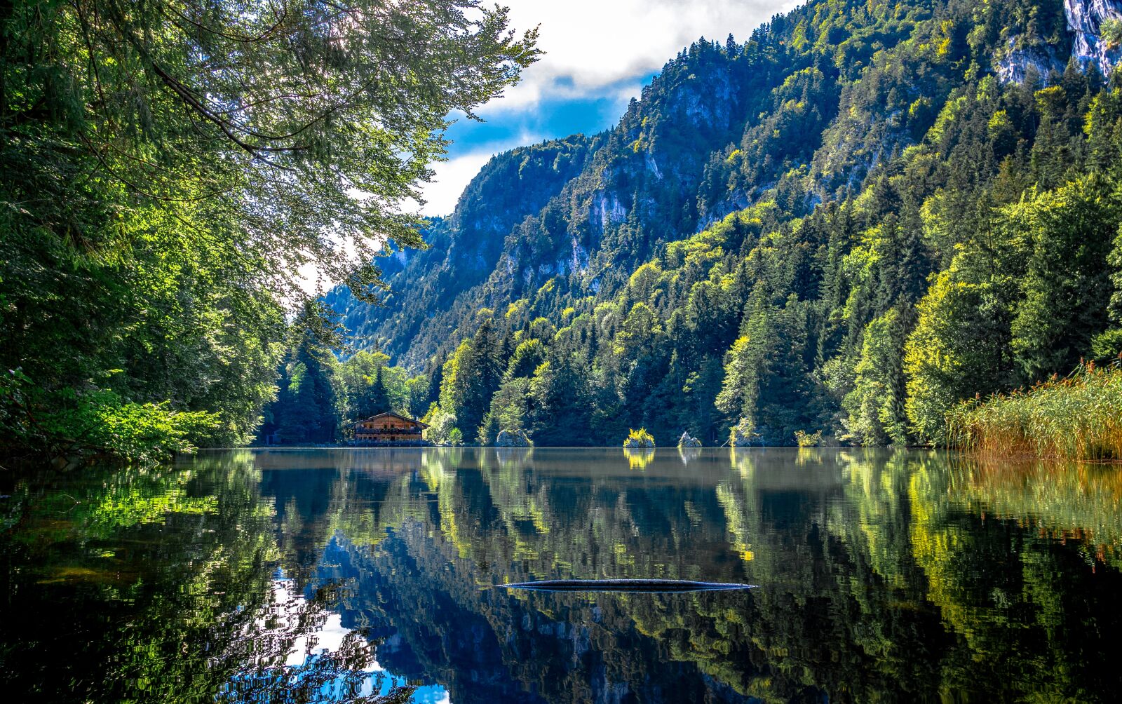 Sony a6000 + Sigma 19mm F2.8 EX DN sample photo. Berglsteinersee, kramsach, tyrol photography