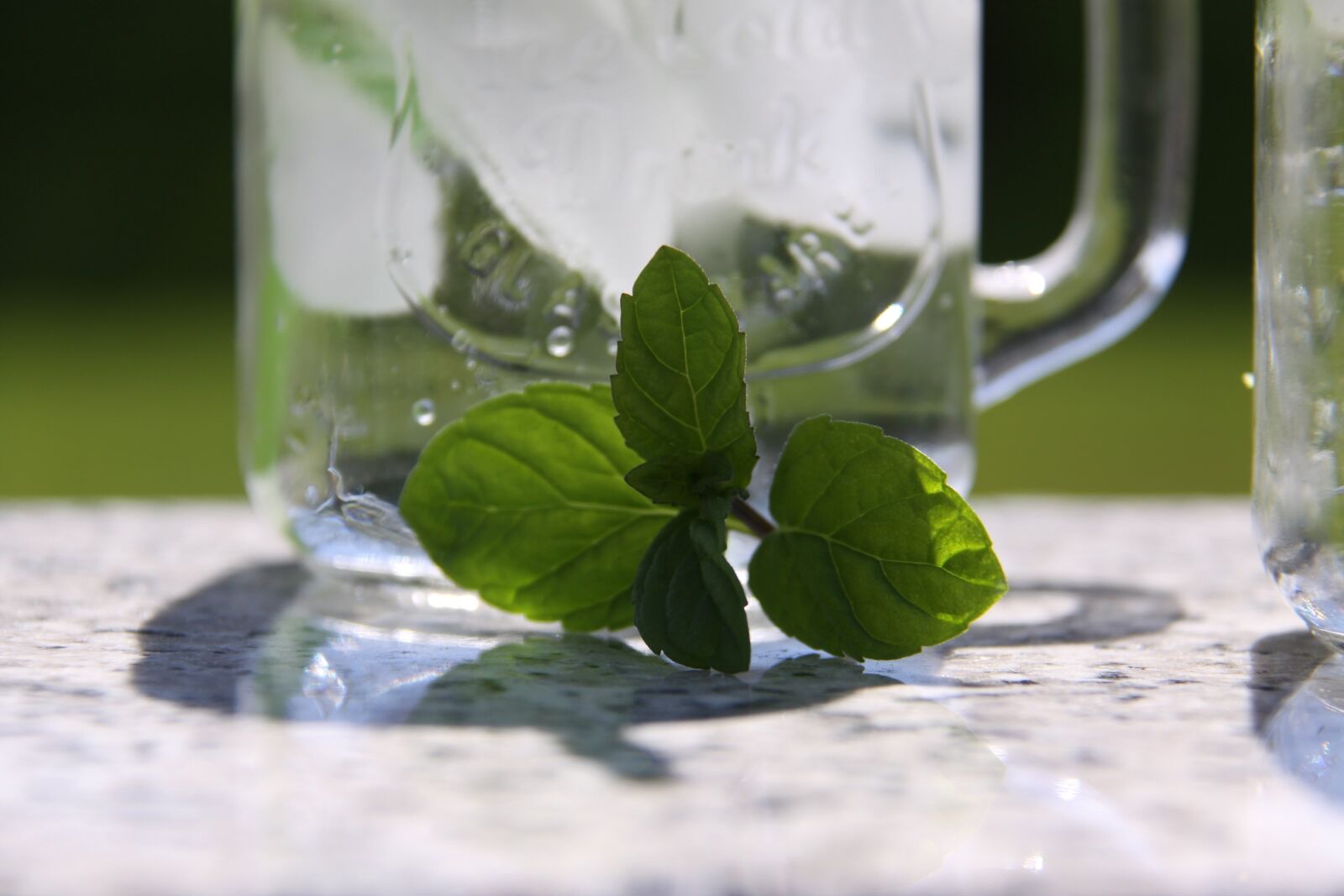 Canon EOS 50D sample photo. Mint, glass, drink photography