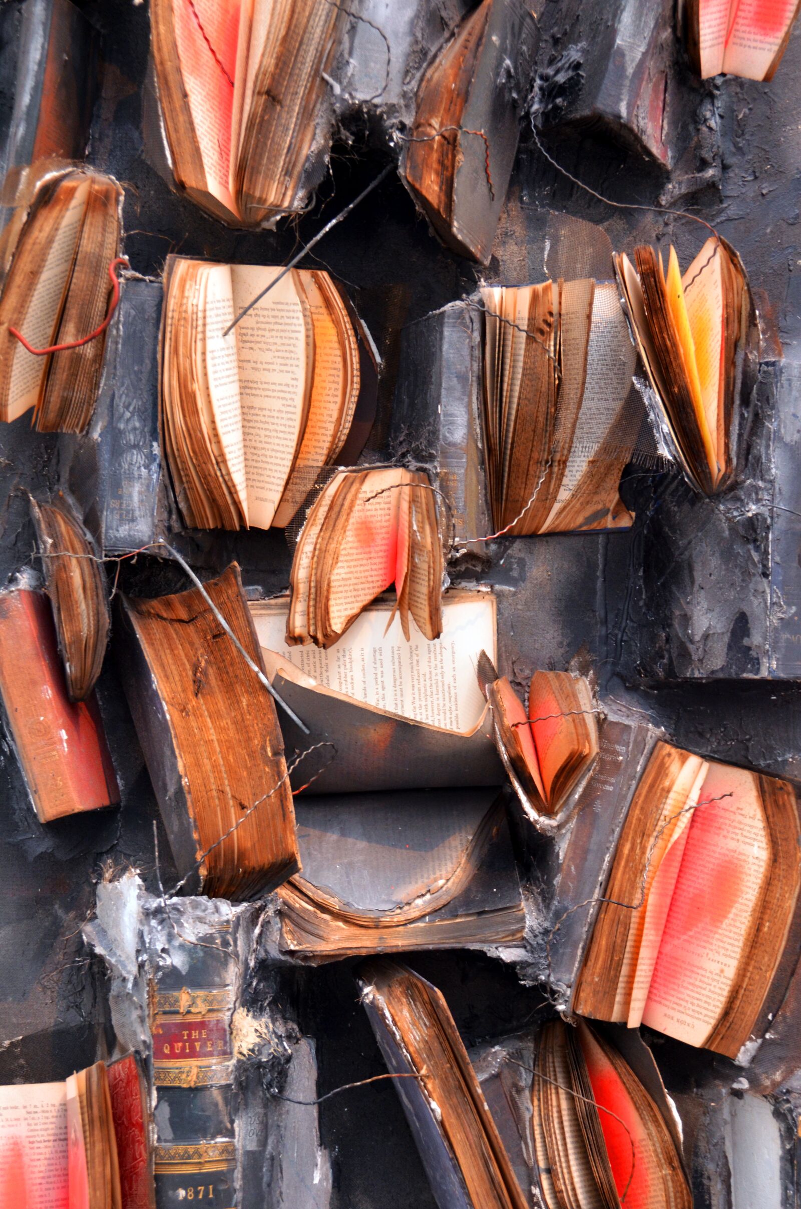 Nikon D7000 sample photo. Books, read, book photography