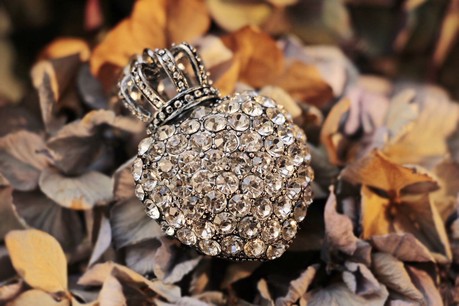 Canon EOS 100D (EOS Rebel SL1 / EOS Kiss X7) sample photo. Heart, crown, rhinestone photography
